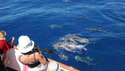 Apartamentos Mesa - Foto 4