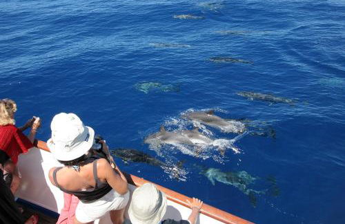 Apartamentos Mesa - Foto 4