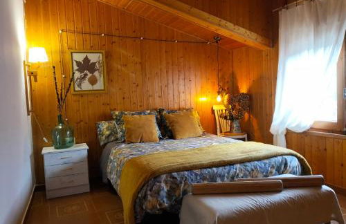 Encanto en el Moncayo - Photo 7