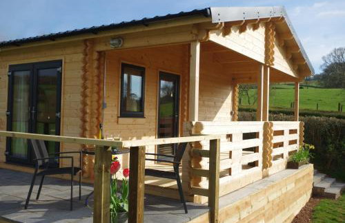 Pound Farm Holidays - Orchard Lodge - Photo 11
