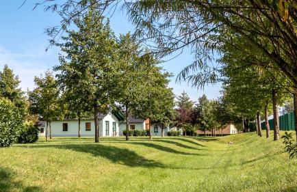 Seepark Auenhain - Foto 3