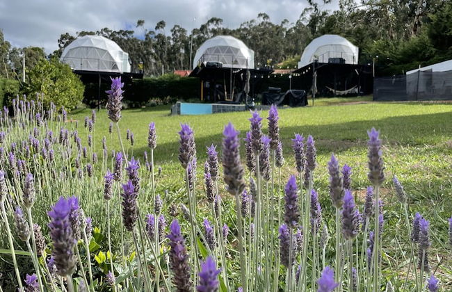 Samaipata Glamping - Photo 24