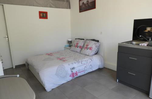 Le lavandin - Photo 11