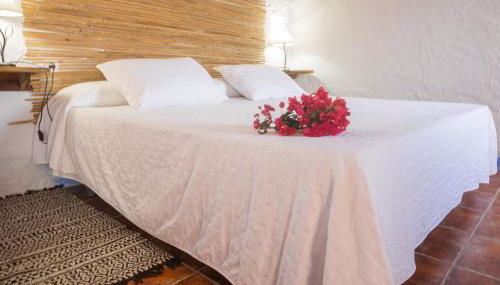 Casa Rural Aloe Vera - Foto 3