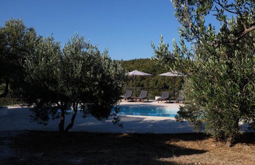 Sunset Hill Sutivan - Photo 25