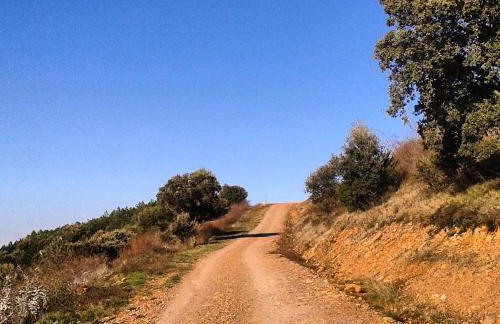 Casa Rural La Milagrosa - Photo 20