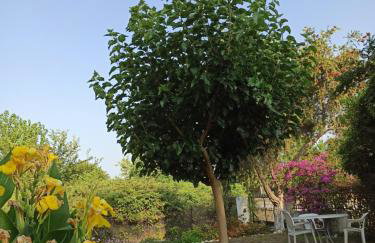 Beach House Into the Green! - Foto 19