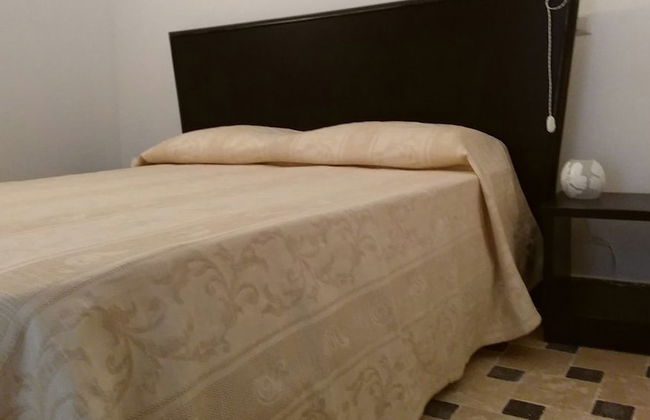 La Trottoria - Photo 5