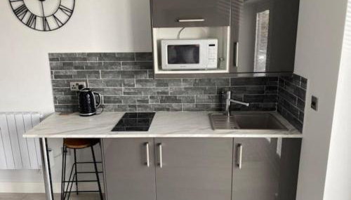 Luxury Mumbles View Studio Apartment - Foto 3