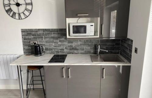 Luxury Mumbles View Studio Apartment - Foto 3