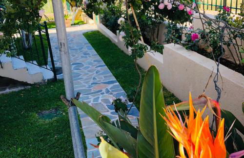 Strelitzia Apartments - Foto 20