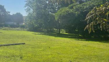 Pension Gut Runge - Foto 3, Garden view