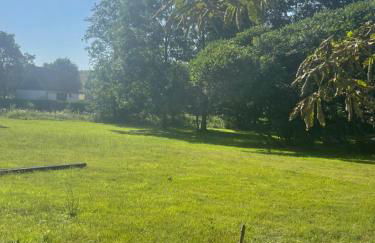 Pension Gut Runge - Foto 3