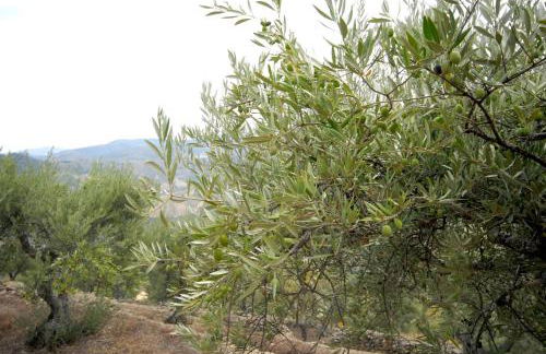 Seven Books House - Foto 36