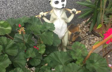 Ferienwohnung Gürth - Foto 39