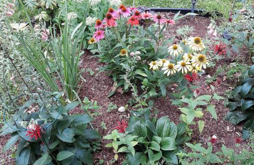 Deer Valley Retreat, Lovely Log Cabin with Fireplace & Garden Views- Perfect for a Relaxing Getaway! - Foto 10