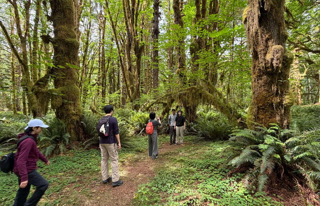 Excursión al Parque Nacional Olympic - Foto 9
