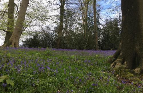 Cook's Flat - Foto 18