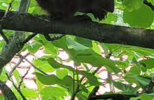 Uroczy dom na ładnym podwarszawskim osiedlu - Foto 22