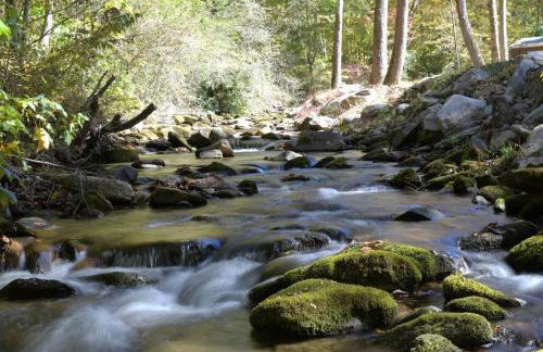 Firefly Creek Cabin in Nantahala - Foto 8