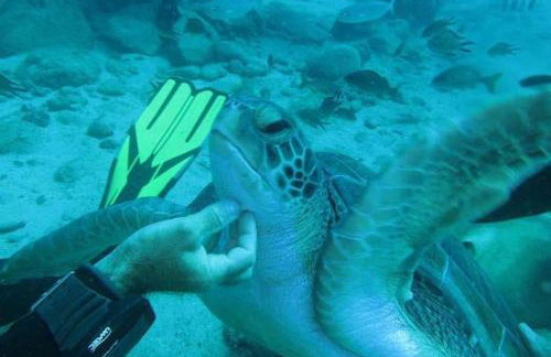 Ocean View The Sunset - Foto 31