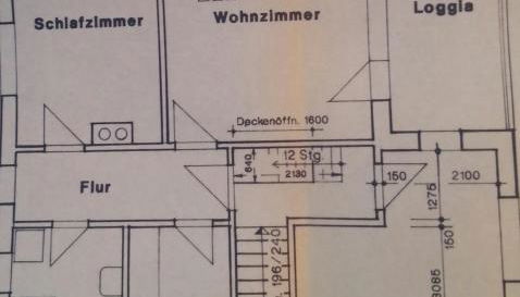 "Heiterer Blick" - Foto 4