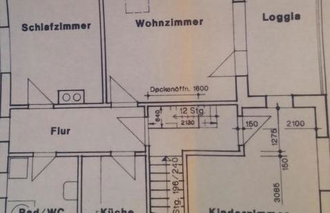 "Heiterer Blick" - Foto 4