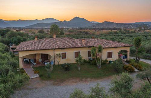 Armandiola - Foto 17