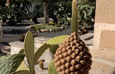 Casa Armonia - Foto 43