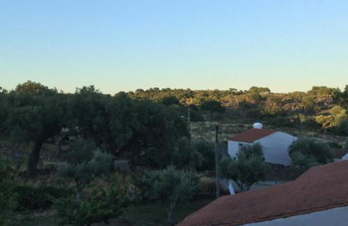 Flor da Ramila - Foto 9