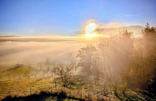 Staufen-Chalet Hochreit - Foto 23