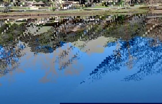 Spinnaker At Shipyard - Foto 22