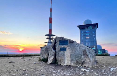 Am Wäldchen - Foto 35