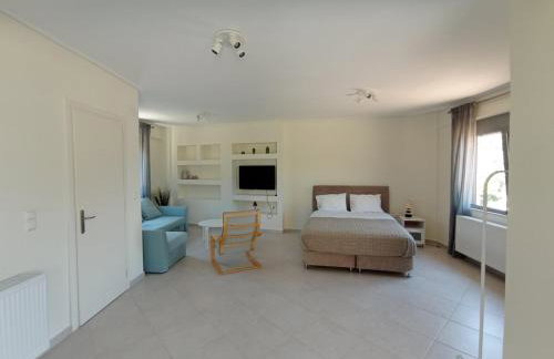 Andi's Studio Porto Rafti - Foto 10