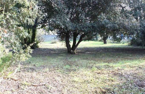 Mais 2 pièces Oléron 4 couchages SAINT PIERRE D'OLERON SPO000-189 - Foto 18