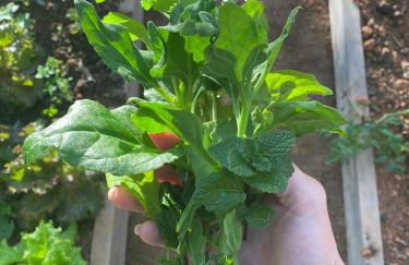 Chalé de luxo pertinho de Monte Verde - Foto 20