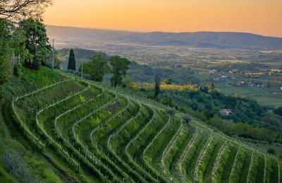 Centro Storico Cormons - Luxury Design and Comfort - Photo 20