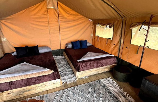 Skyline Ecoliving - Foto 10