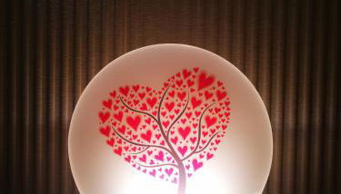 Apartamento MS - Foto 5