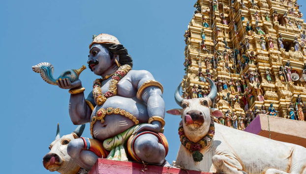 Visita guidata di Colombo - Foto 5