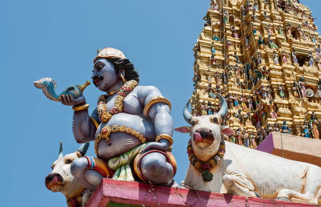 Visita guiada por Colombo - Foto 5