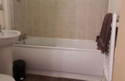 River view Apartment - Foto 7