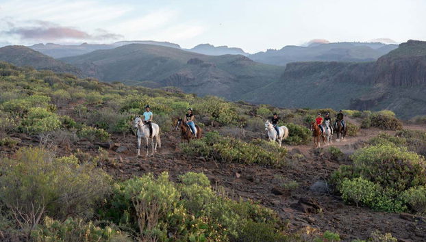 Cavalcheremo in mezzo alla natura