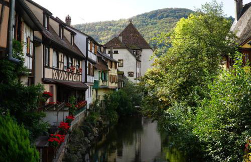 Gîte Du XVe - Photo 13