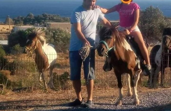 Ktima Nikola - Photo 22