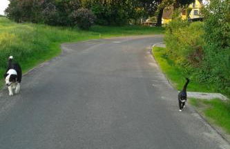 Apartment Schwalbennest by Interhome - Foto 41