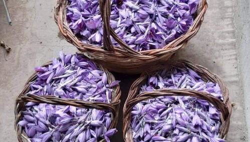 Casa Ludovici - Foto 2