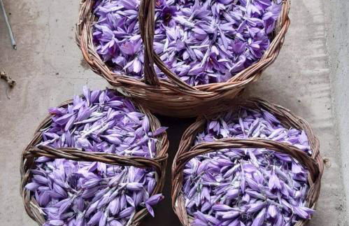 Casa Ludovici - Foto 2