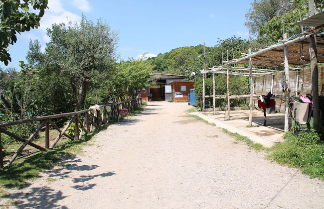 Agriturismo Piccolo Paradiso - Foto 42