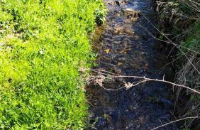 EL MIRADOR - Ferienwohnung Nähe Nürburgring - Eifel - Ahr - Rhein - RENOVIERT - Foto 26